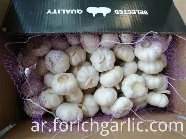 2019 New Crop Pure Garlic